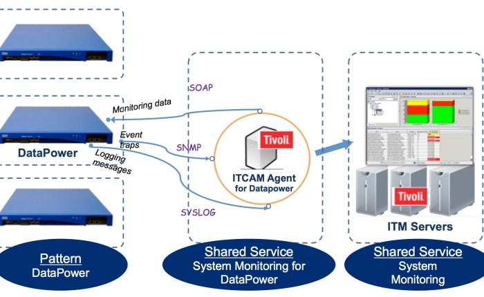 Monitoring DataPower virtual appliances in&nbsp;PureApplication